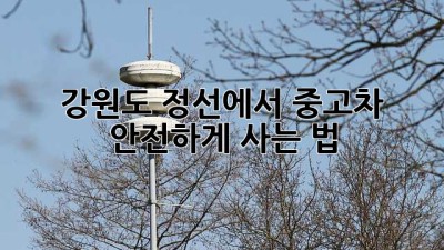 강원도 정선에서 중고차 안전하게 사는 법